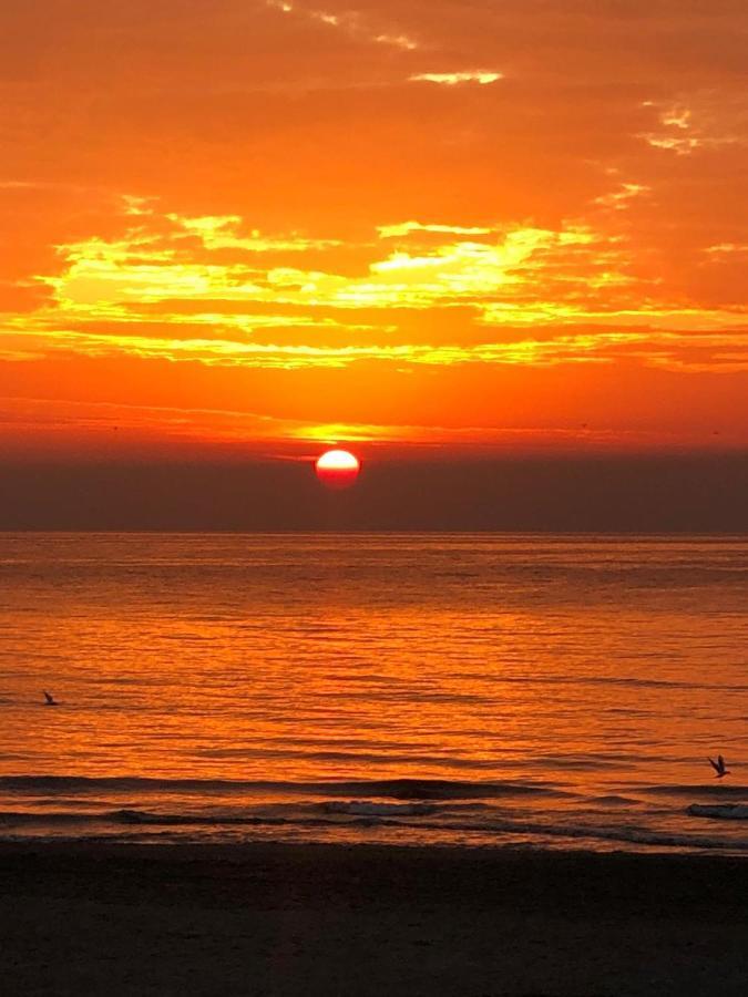 Martina Maria Beach Benidorm Kültér fotó